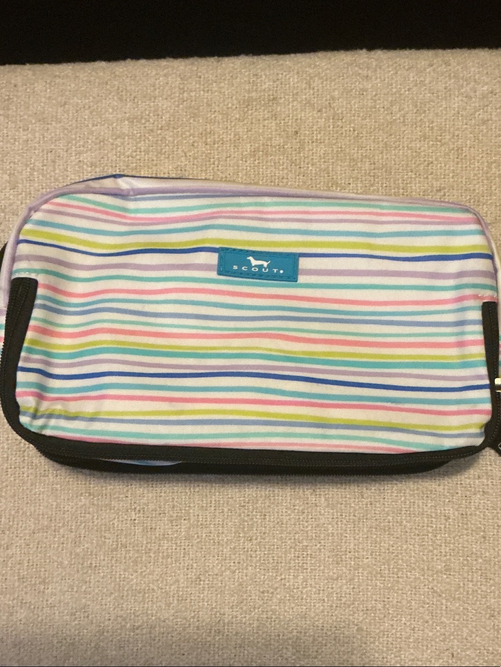Scout Striped Dual Storage Cosmetic Bag in Pastel Blue Pink Yellow Green